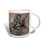 Siamese - Ceramic Mug 11 oz Multicolored