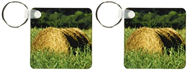 A bale of hay in a pasture in Georgia - Key Chains, set of 2