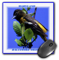 3dRose Maryland State Bird Baltimore Oriole Mouse Pad