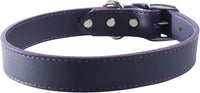 OmniPet Signature Leather Pet Collar, Purple, 3/4 by 20